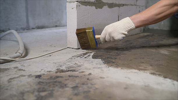 Top rated local Basement Waterproofing specialists in Bushton, KS